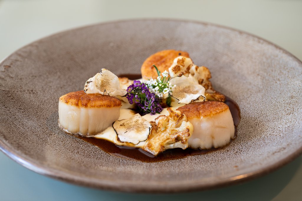 scallops