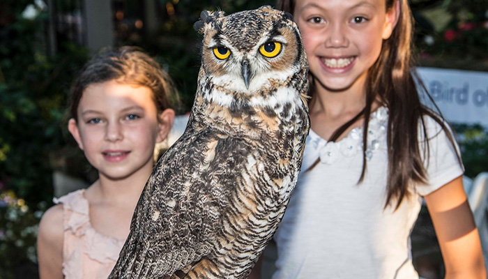Creatures of the Night at Sherman Library & Gardens