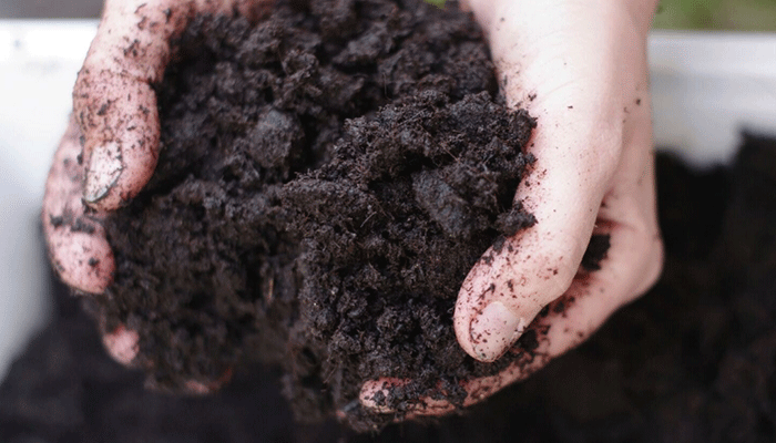 Steve Goto Gardening Series  | Soil Preparation