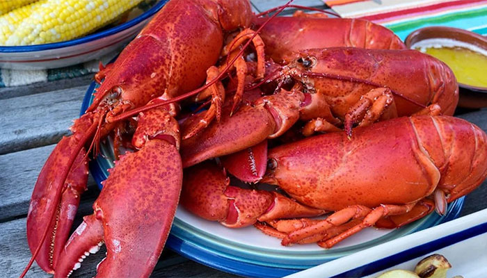 Annual Lobsterfest at Newport Beach