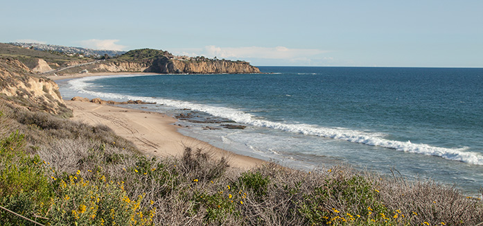 Crystal Cove