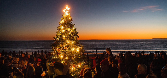 Celebrate Crystal Cove’s Tree Lighting at The Beachcomber Cafe