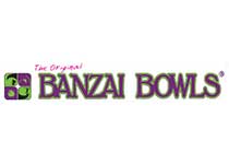 The Original Banzai Bowl