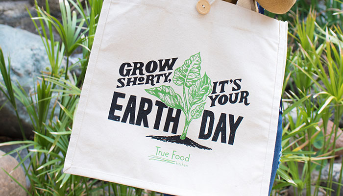 EARTH MONTH TO-GO CAMPAIGN at True Food