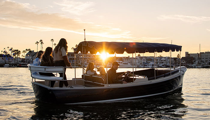 Luxury Harbour Cruise - 1 hour Boat Ride on Fun Things Pontoon 