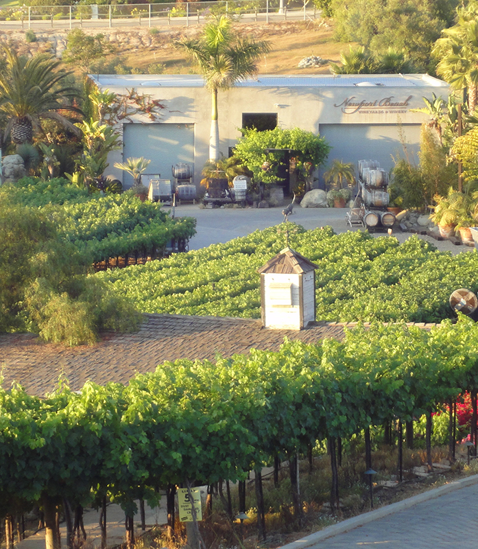 Newport Beach Vineyards & Winery