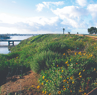 Pet Friendly Hikes & Parks in Newport Beach