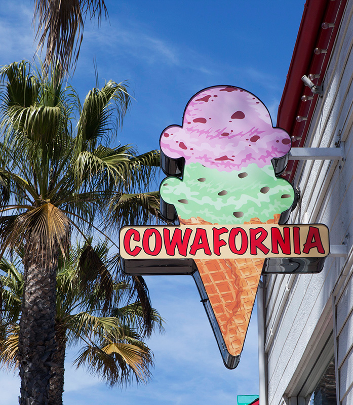 Cowafornia Ice Cream