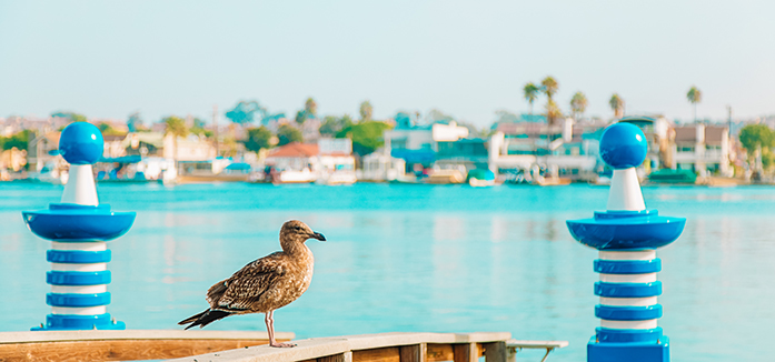 Why Travel Matters to Newport Beach