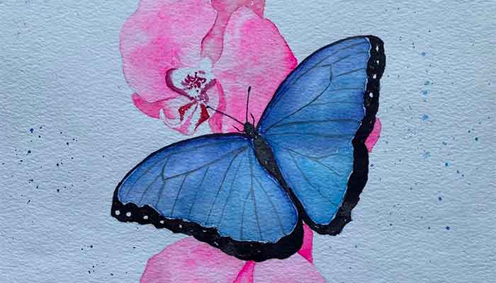 Watercolor Class Butterfly with Erna at Sherman Library & Gardens