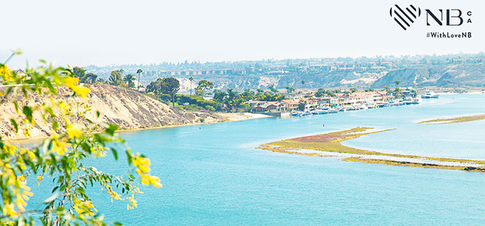 Downloadable Newport Beach Zoom, Desktop and Wallpapers