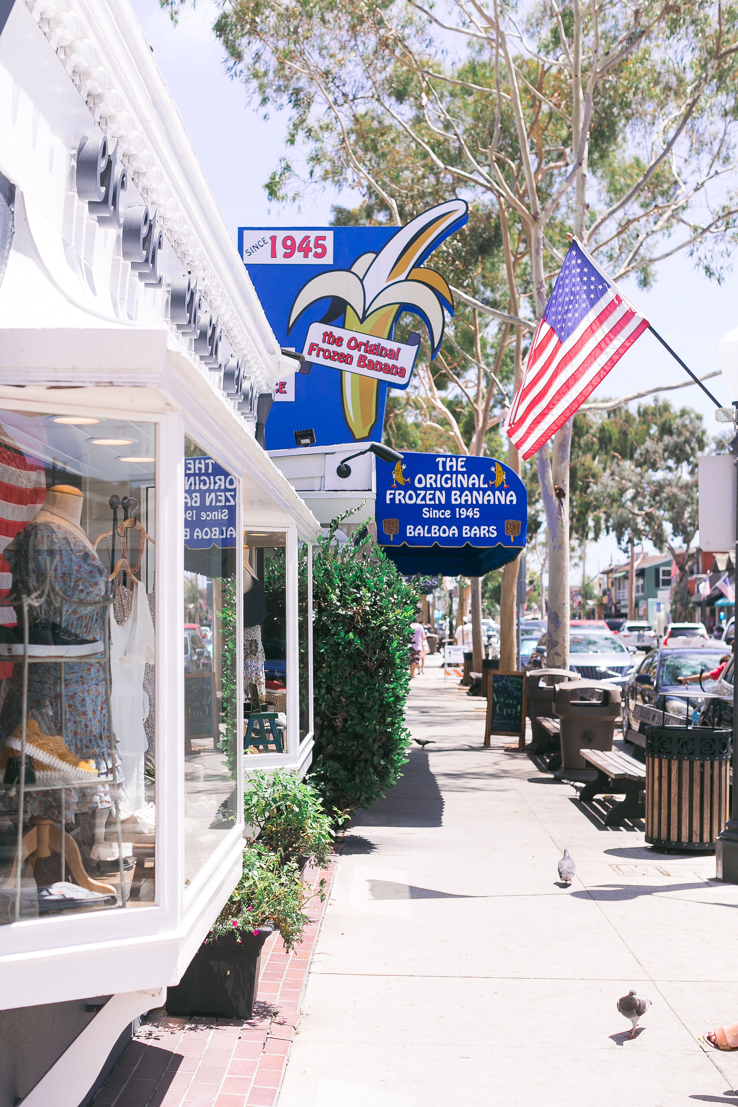 Media Gallery | Visit Newport Beach