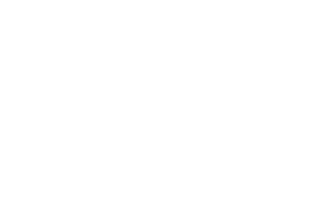 VNB_Horizontal_white-01