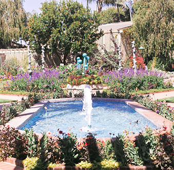 3 Lush Gardens to Explore in Newport Beach