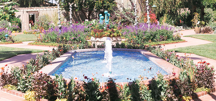 3 Lush Gardens to Explore in Newport Beach