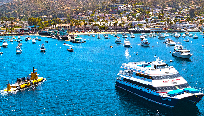 can you take dogs to catalina island