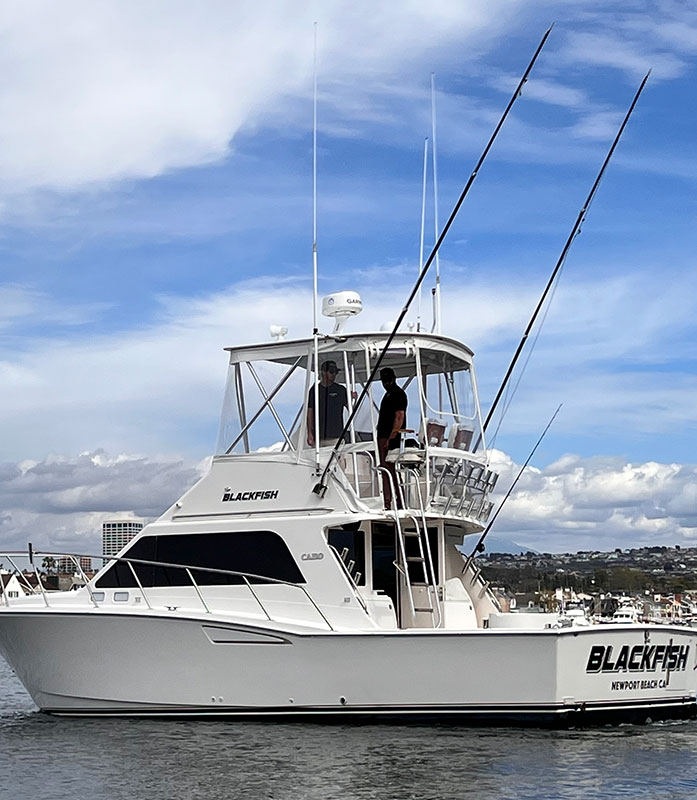 Blackfish Charters