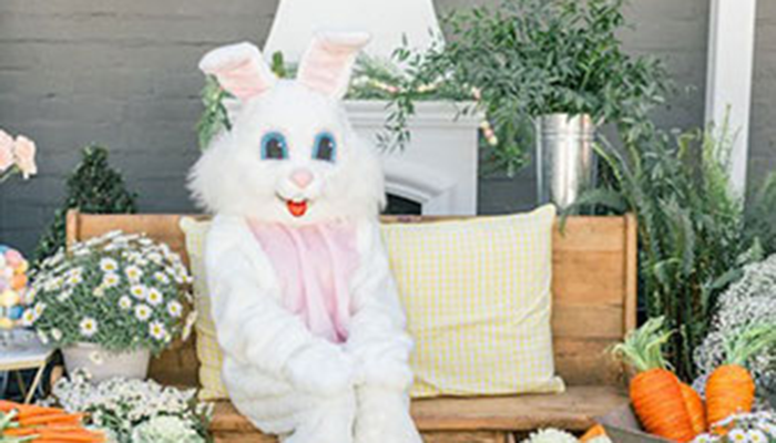 Celebrate Spring With The Easter Bunny