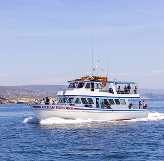 A Deep Dive into Fishing and Whale Watching in Newport Beach