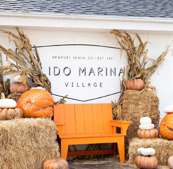 pumpkins and bench