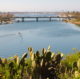 5 Ways to Experience Newport Beach as a Coastal Classroom