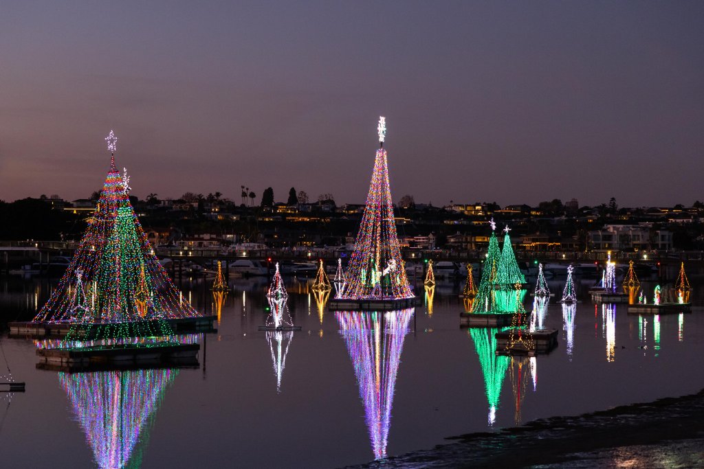 christmas trees on the bay