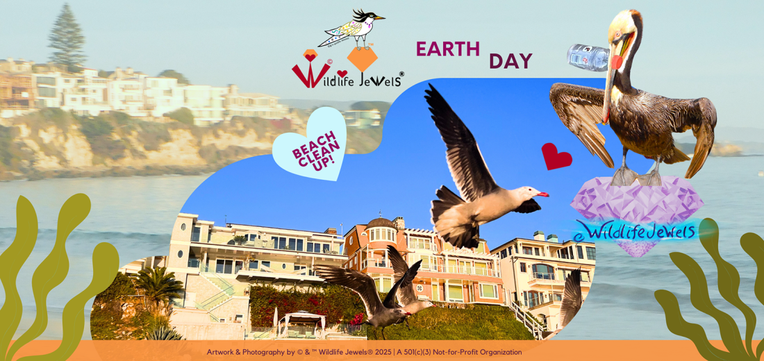 Wildlife Jewels® Annual Corona del Mar Earth Day Sweep & Learn for ...