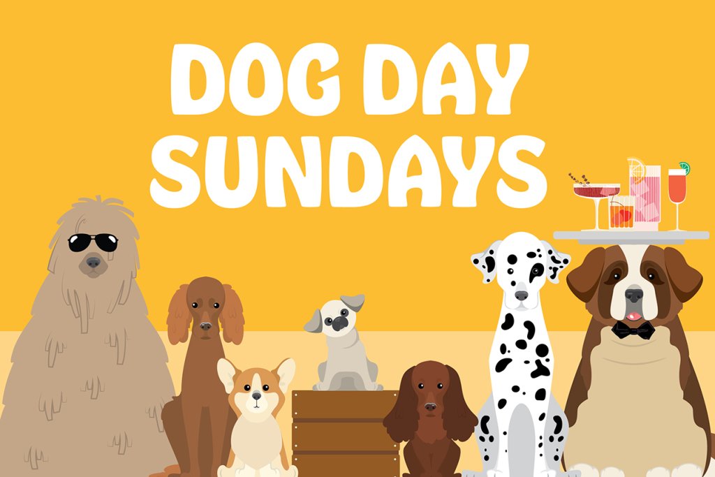 dogs on a flyer