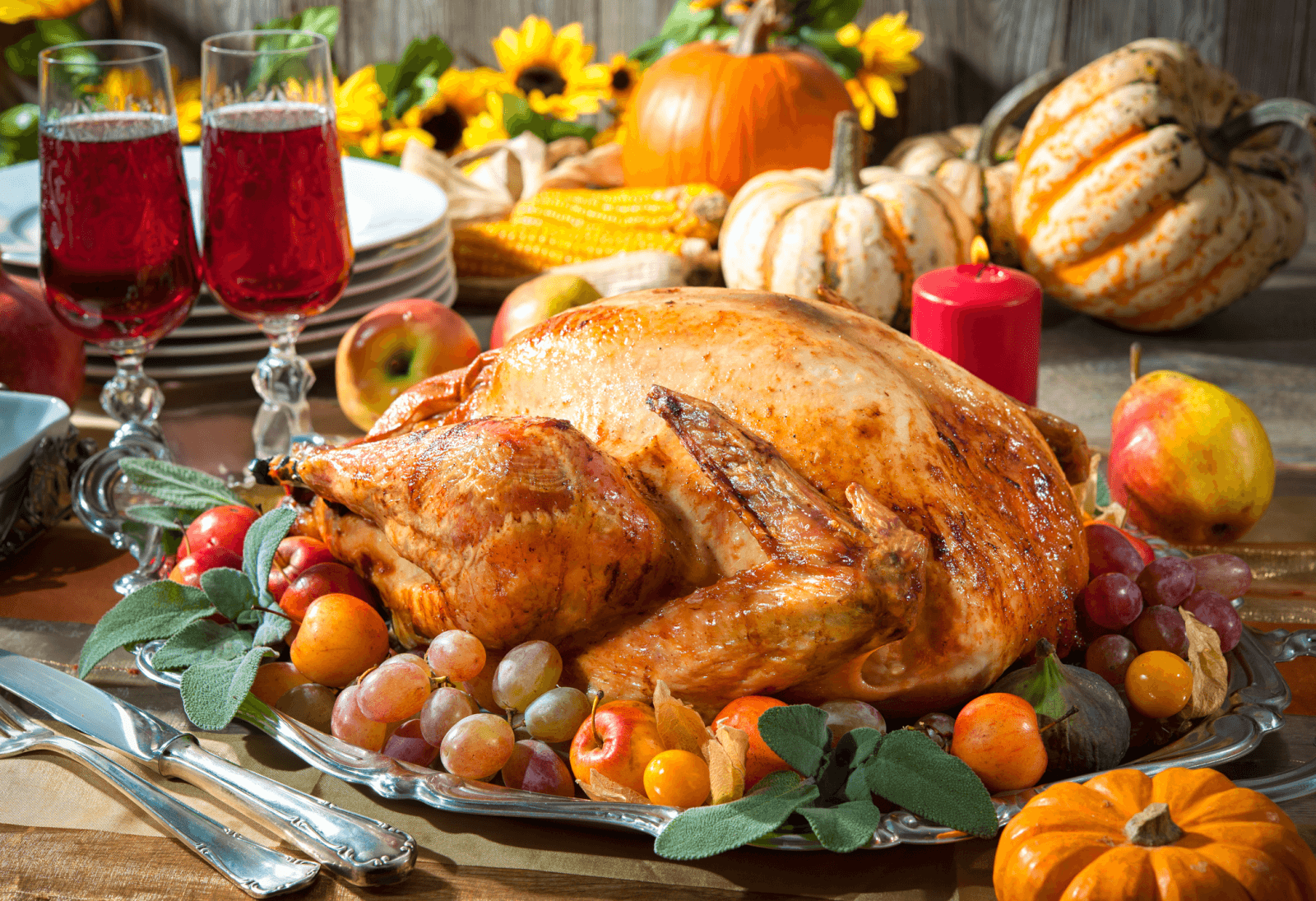 a turkey