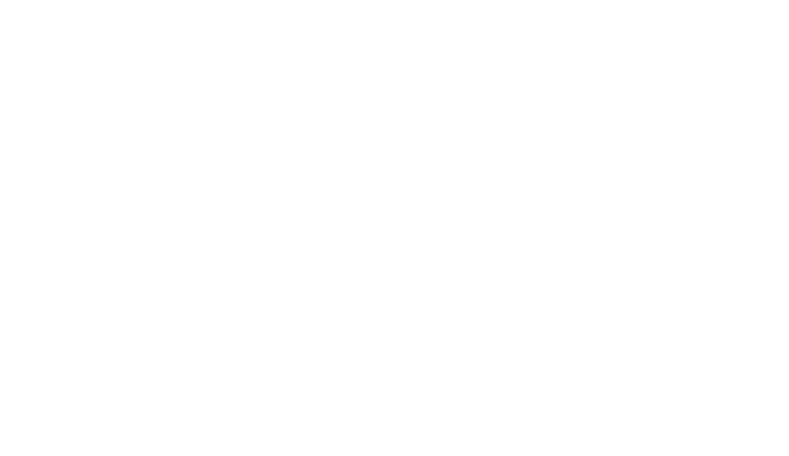 HPN Global logo