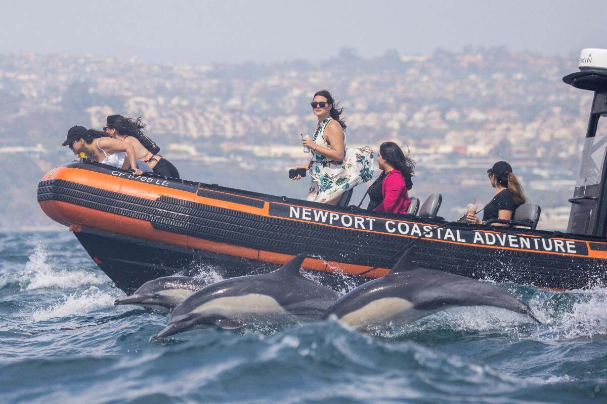 people on a boat