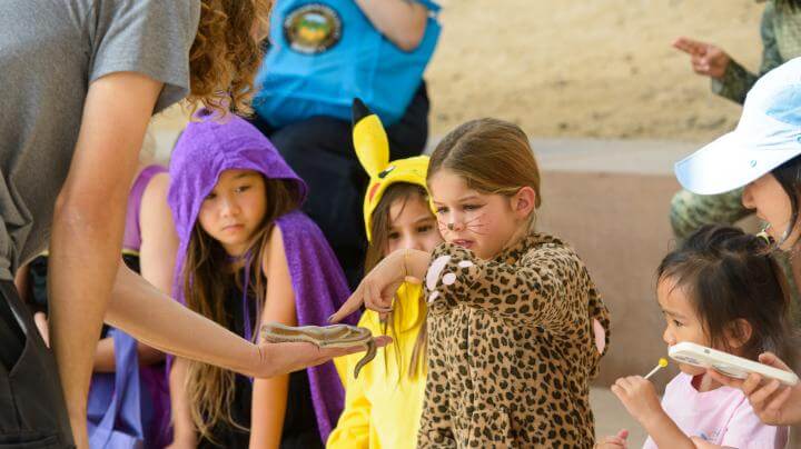 kid holding snake