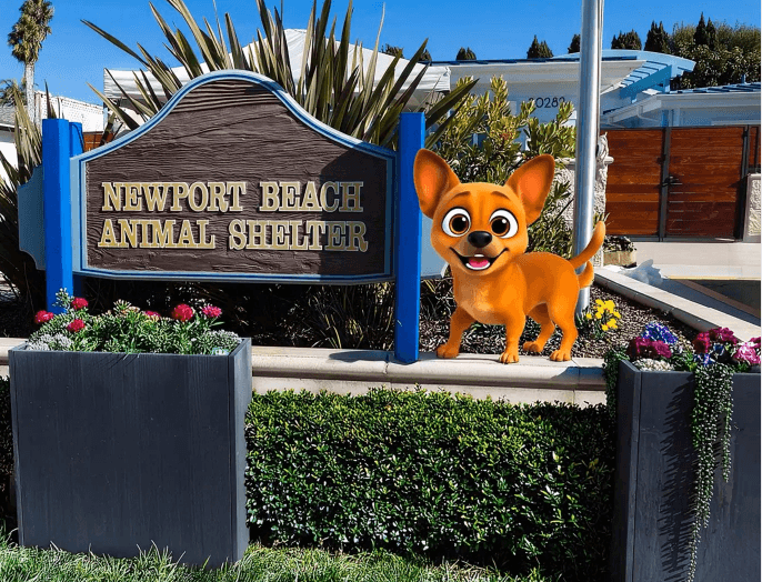 outside of animal shelter